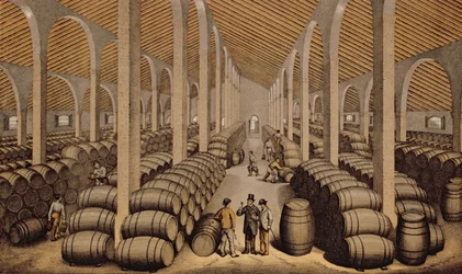 Cave à vin à Jerez de la Frontera